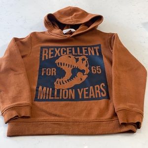 H&M boys 6X-7 year hooded sweatshirt